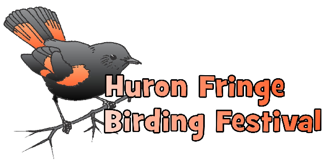 Huron Fringe Birding Festival